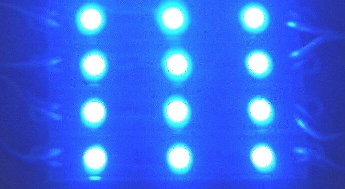 4 BBT 12 VDC Waterproof Blue LED Courtesy Lights