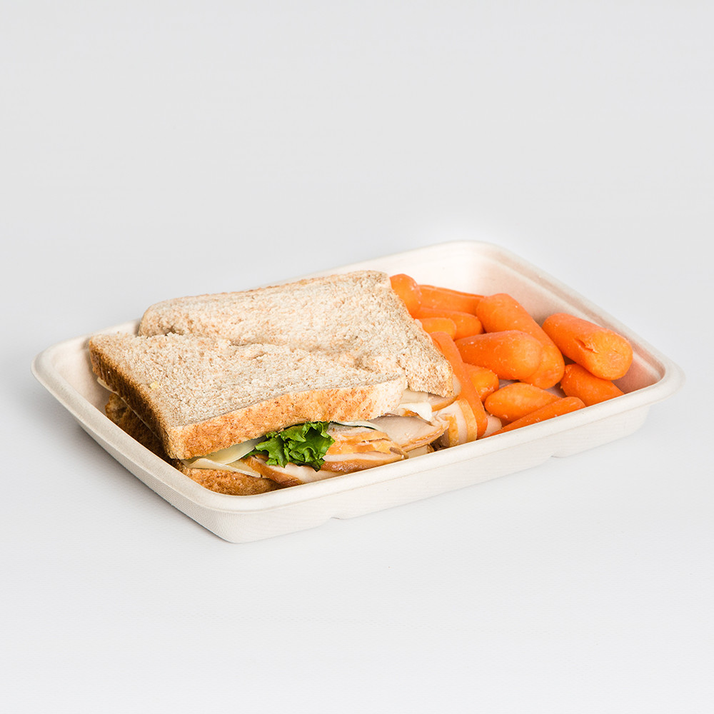 Sabert TerraPac 20 oz. Natural Pulp Fiber, Shallow Food Container | 300/Case