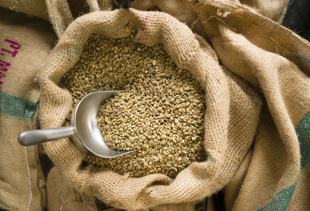 5 POUNDS green coffee beans – your choice of beans – MANY to choose from