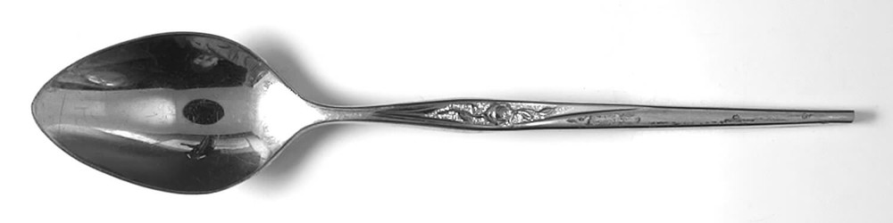 Sears Roebuck SRS18G Teaspoon 956318