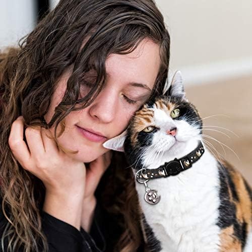 Breakaway Cat Collars Adjustable Kitten Collar with Bell 2 Pack