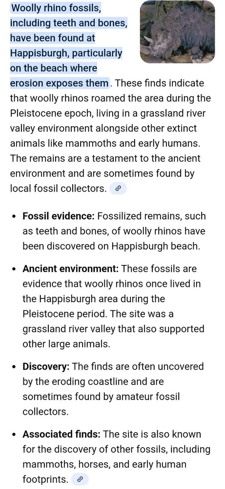 Fossilised tooth found in Happisbugh
