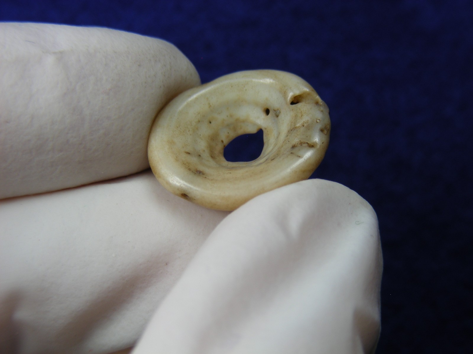 EXCELLENT DRILLED SHELL BEAD 11/16" TENNESSEE Authentic Indian Artifacts