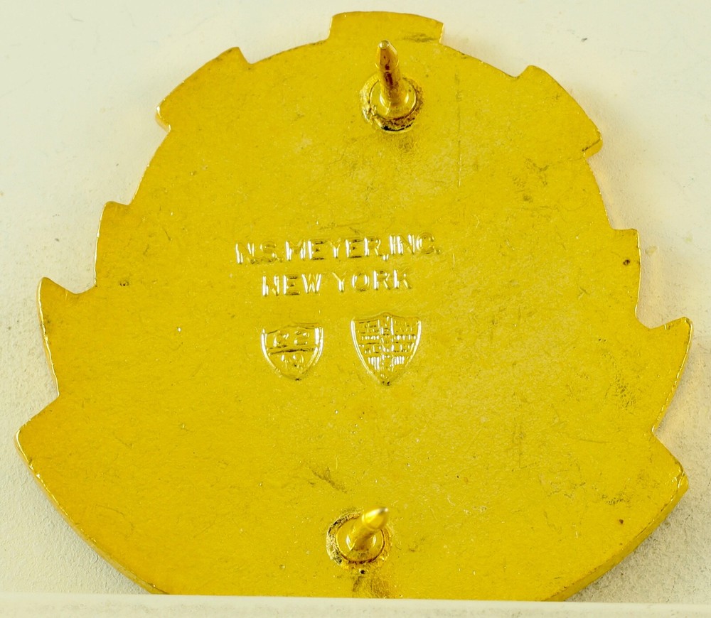376th Combat Support Hospital Crest DI/DUI CB