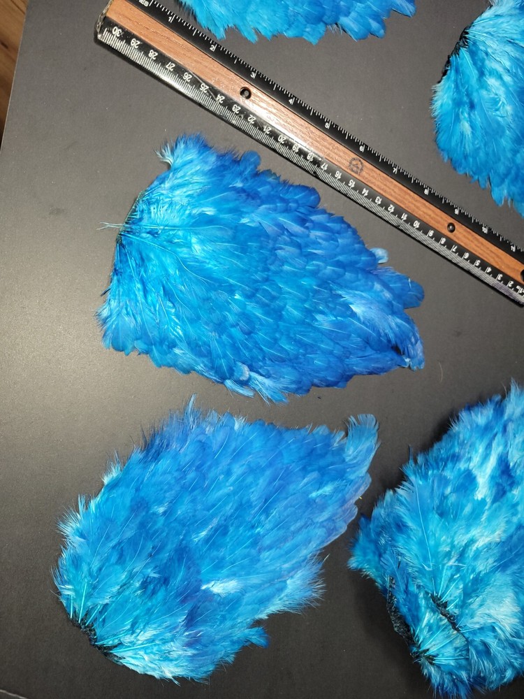 Hen  Saddle Electric BLUE