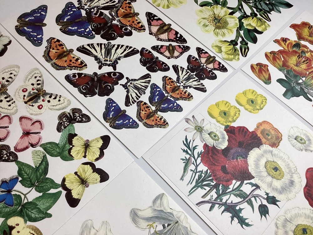 Anna Griffin Antique Botanical Die Cuts 8 Sheets