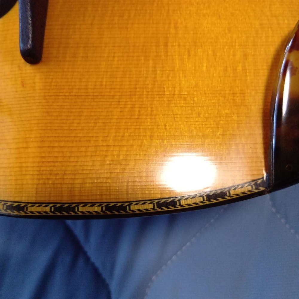 Mandolin 8 string orange with case