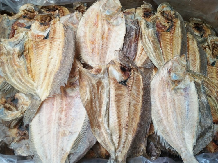 Natural Dried Flounder Fish 大地鱼 比目鱼