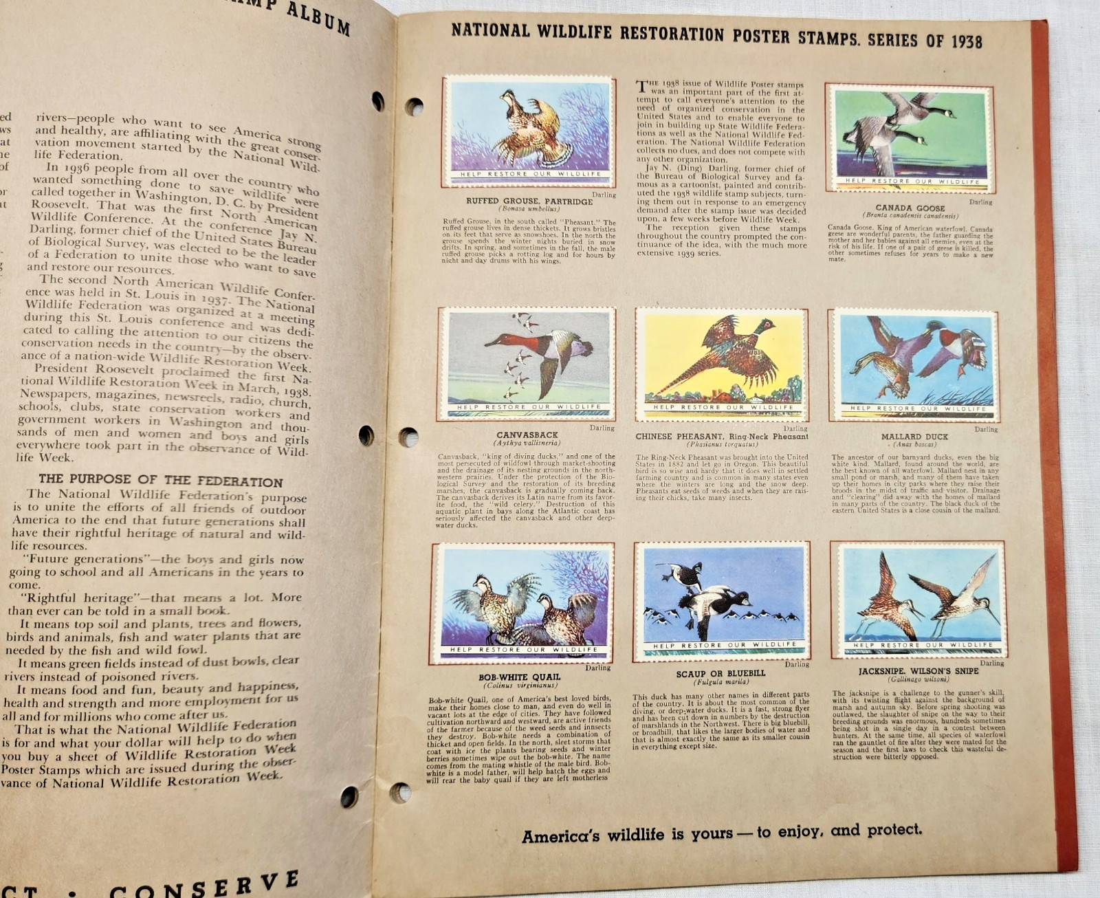 1939 National Wildlife Federation Restoration Poster Stamp Album complete