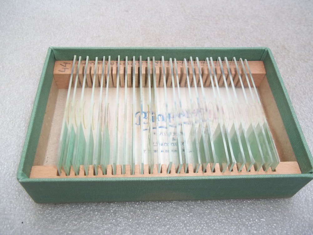 Vintage Glass Microscope Slides -