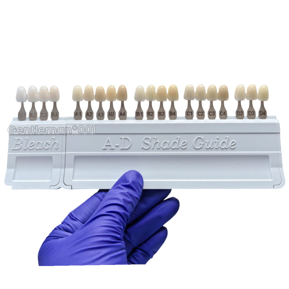 Dental Bleached A-D Shade Guide Bleached Chart Teeth Whitening Based Vita
