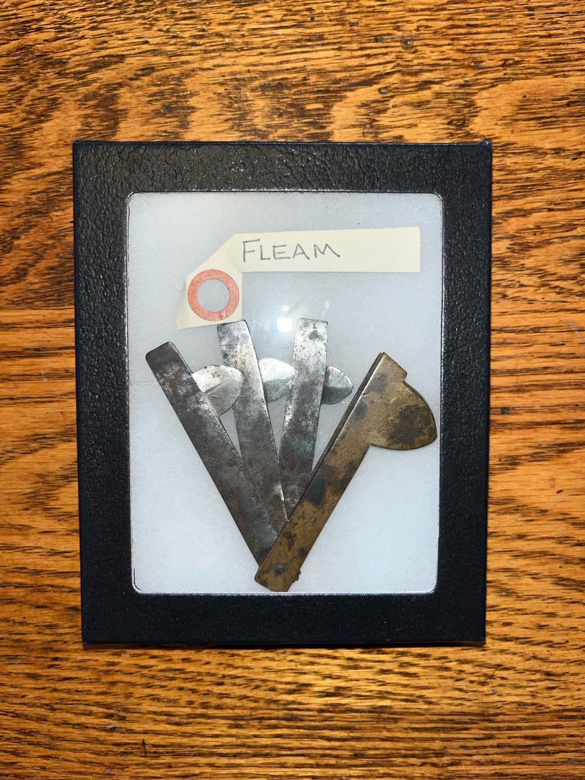 Antique 3 Blade Bloodletting Fleam In Display Box, Glass Top