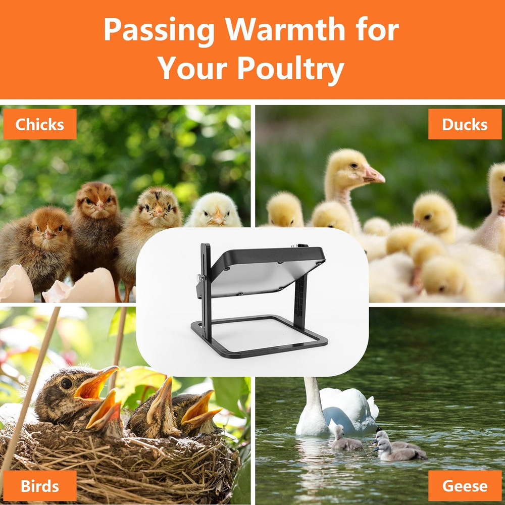 Chick Brooder Heater Plate 10"X10" Brooder Plate Chicks Adjustable Temperature