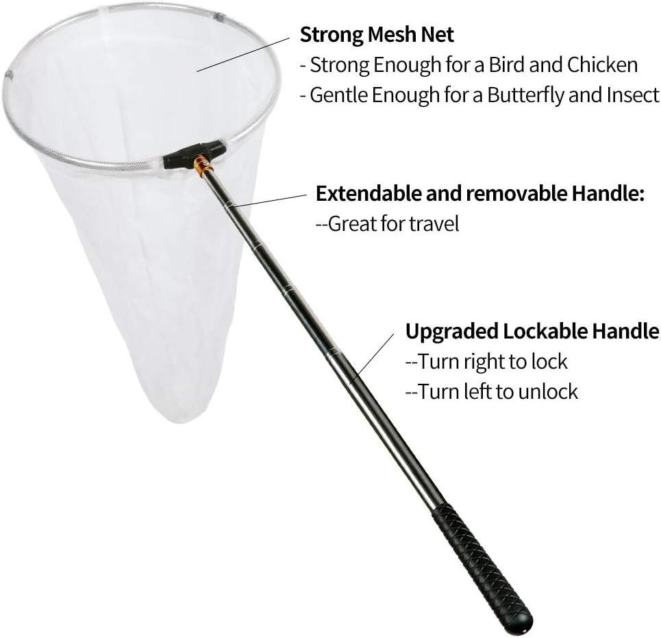 Durable Multicolor Bug Catching Net - 12" Ring, 59" Handle, Perfect for All Ages