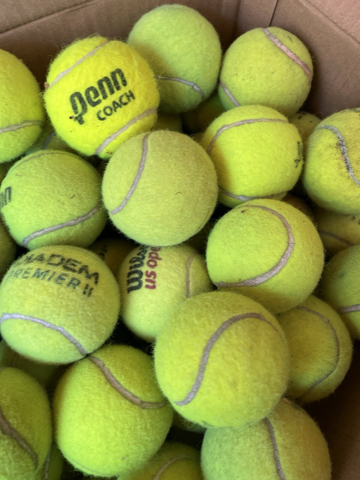 10 of Good Grade used Tennis Balls from Wilson, Dunlop, Penn, Head, etc Dog Toys
