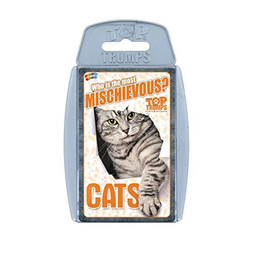 Cats and Kittens Card Game