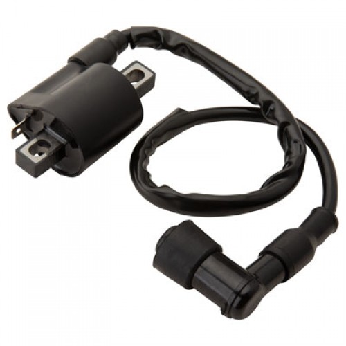 Neutron Ignition Coil 175-934-0010