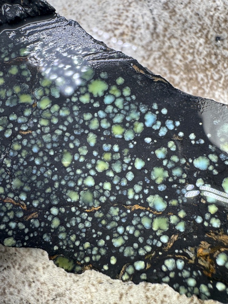 Natural Nevada Variscite rough star fox