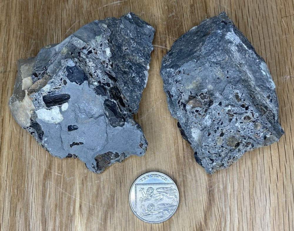 Fossil Specimens, Set of 2 Rhaetic Bone Bed Sections, Suffolk, 86mm