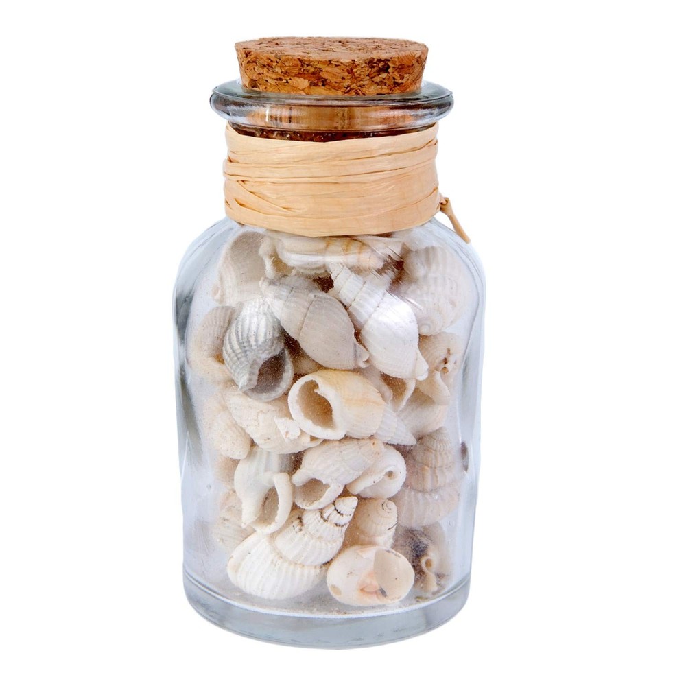 Beachcombers Bottle w/White Shells