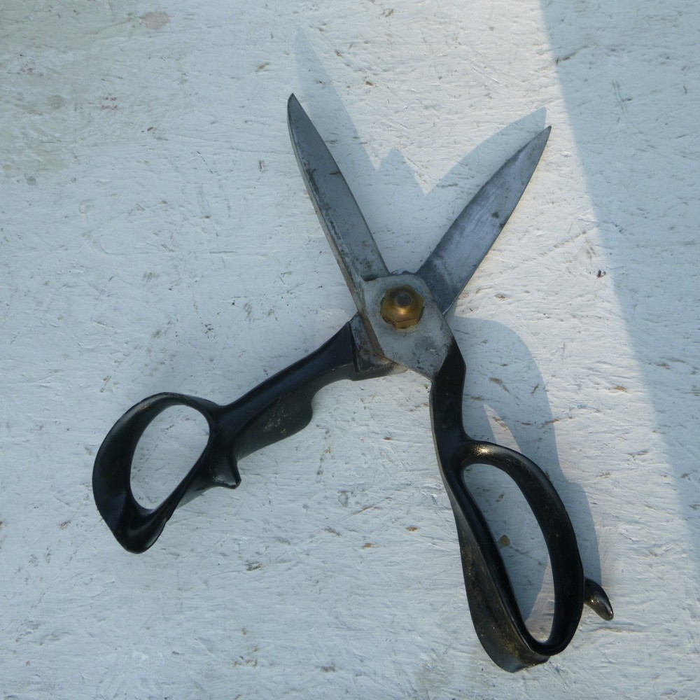Antique tailors cutting shear