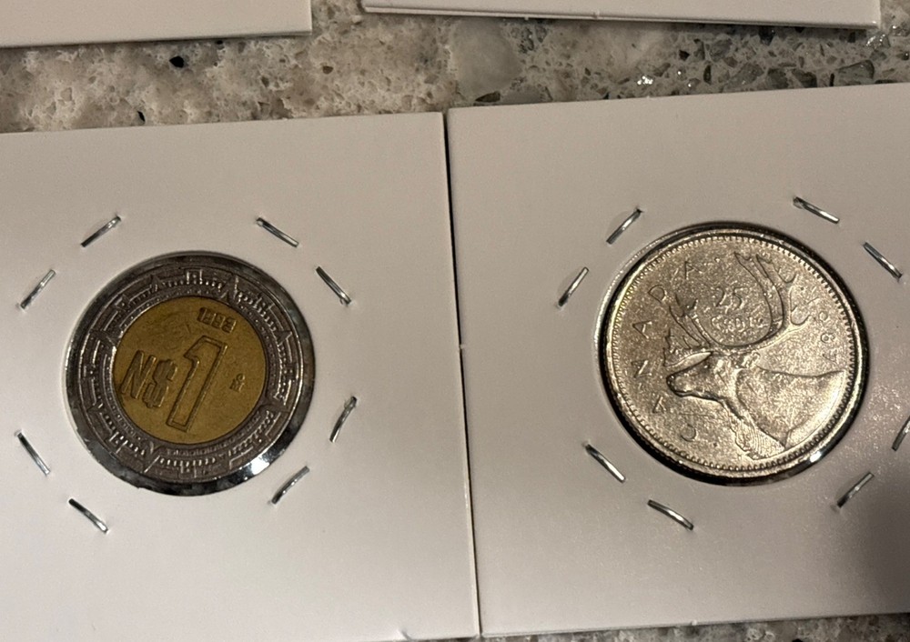 Foreign Coin Collection