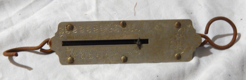 Chatillon 4 lb Fish Scale
