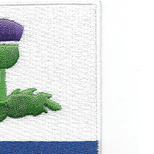 338th Infantry Regiment Patch