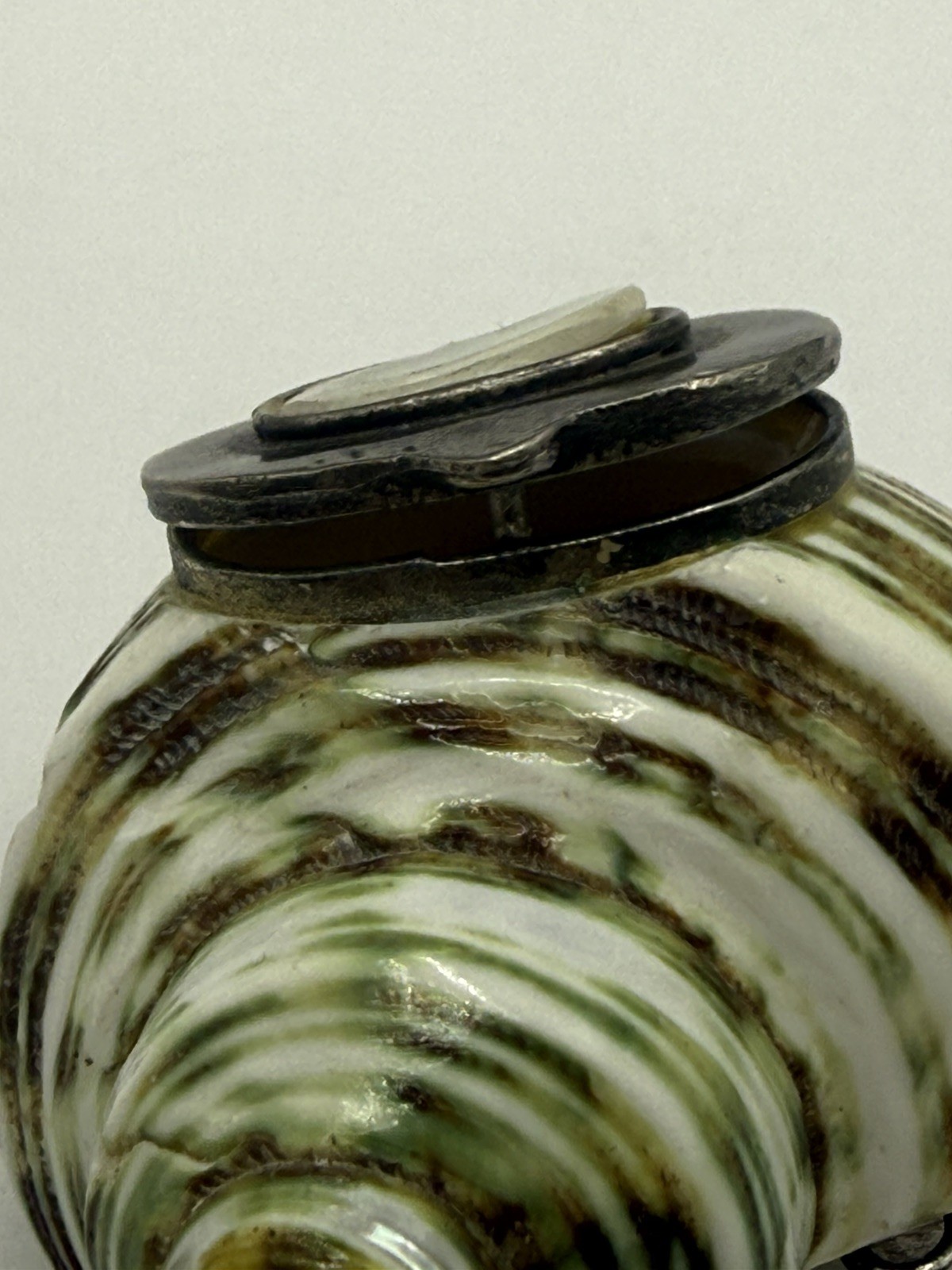 Antique Turbo Shell pill snuff box pendant needs repair