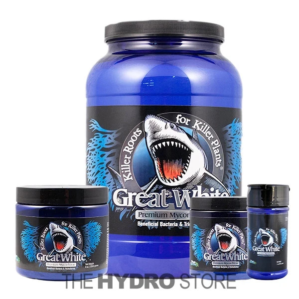 Great White Mycorrhizae