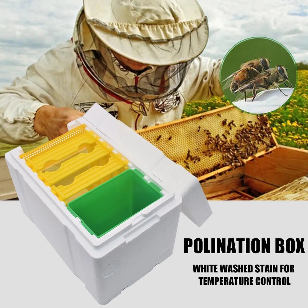 Queen Bee Breeding Box Bee Mating Box Foam Bee Hive Bee Pollination Box
