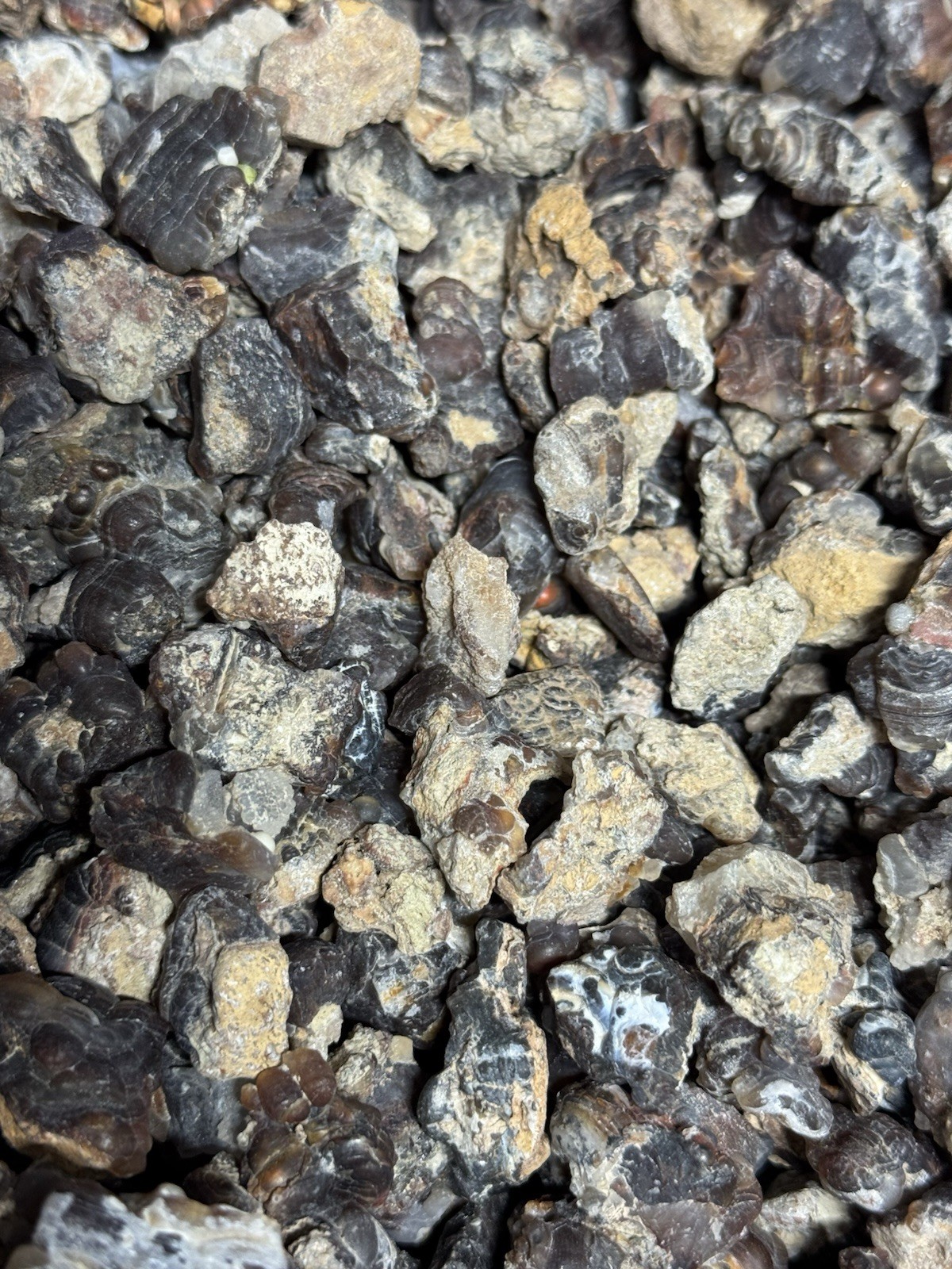 1/2 Lb Mid to Choice Grade Fire Agate Smalls Untreated Colorful Blind Grab Rough