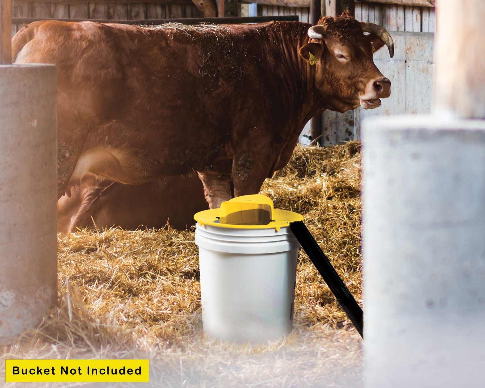 RinneTraps - | Flip N Slide Bucket Lid Mouse Trap | As Seen on TV/Youtube