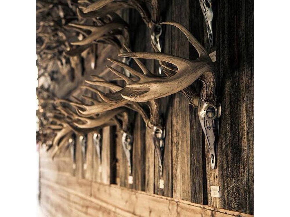 Do-All Iron Buck Antler Mounting Kit