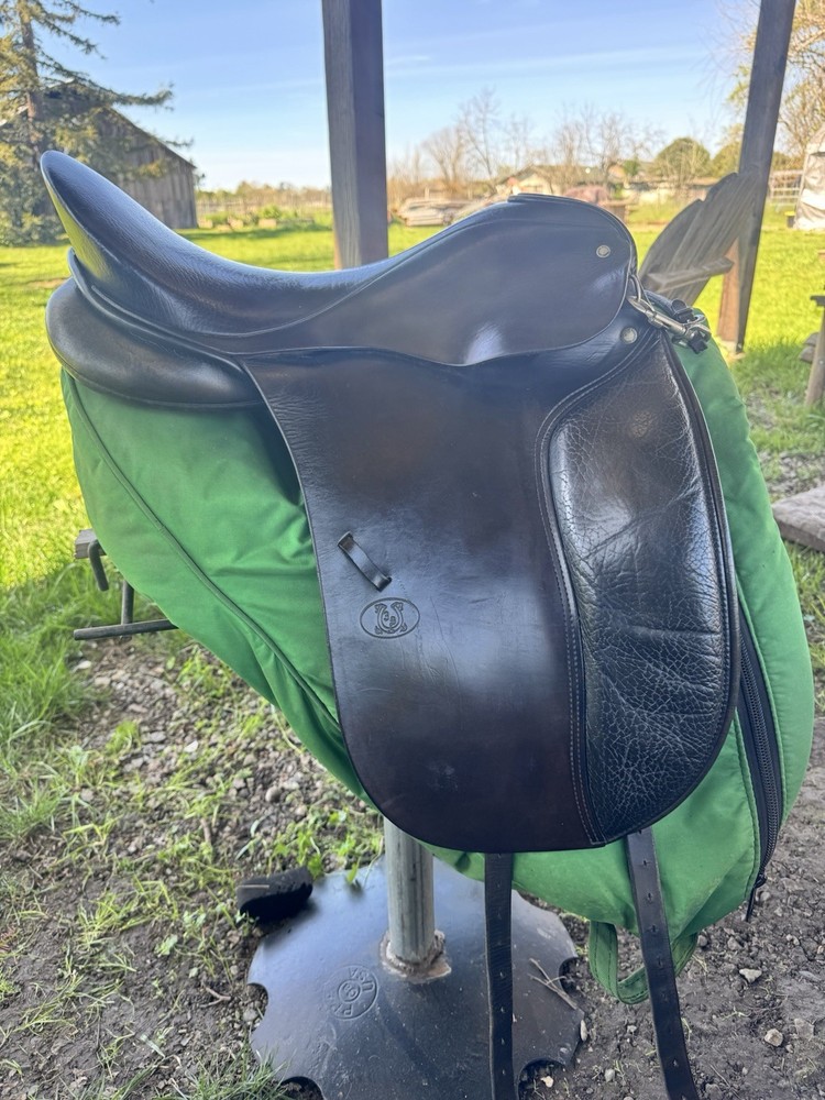 Schleese Dressage 17.5”