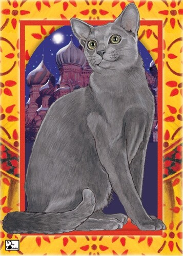 Russian Blue Cat Blank Note Card