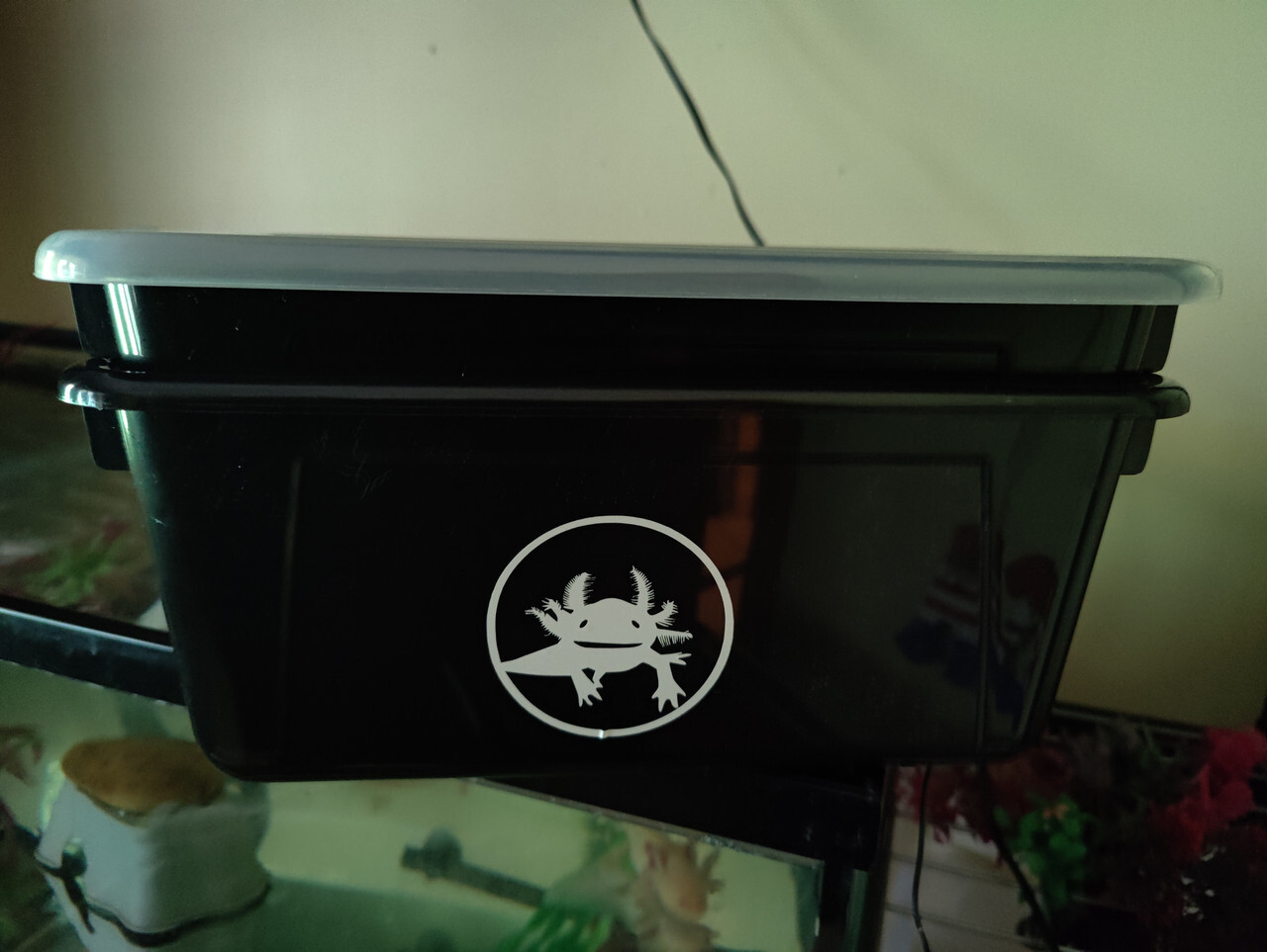 European Nightcrawler Worm Farm. Have an endless supply of healthy worms quickly