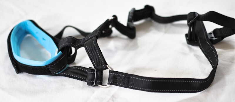 dog muzzle for barking, biting & chewing adj. loop soft padding XL 13-17" snout