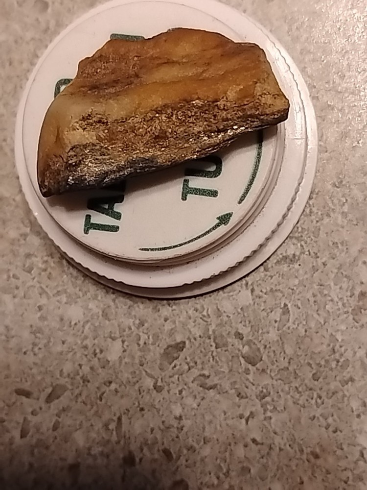 Native Gold In Quartz Vein