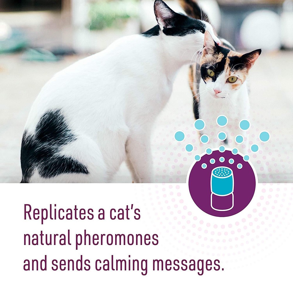 6-PACK Comfort Zone Feliway 48 ml REFILL for Diffuser Cat Behavior Stress Relief