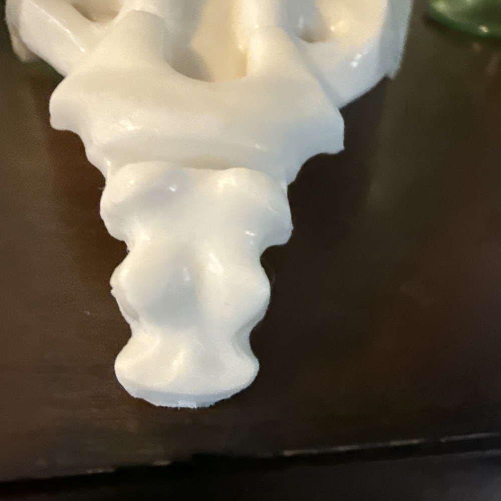Anatomically Correct Human Coccyx Bone Model Geigy Pharma Look