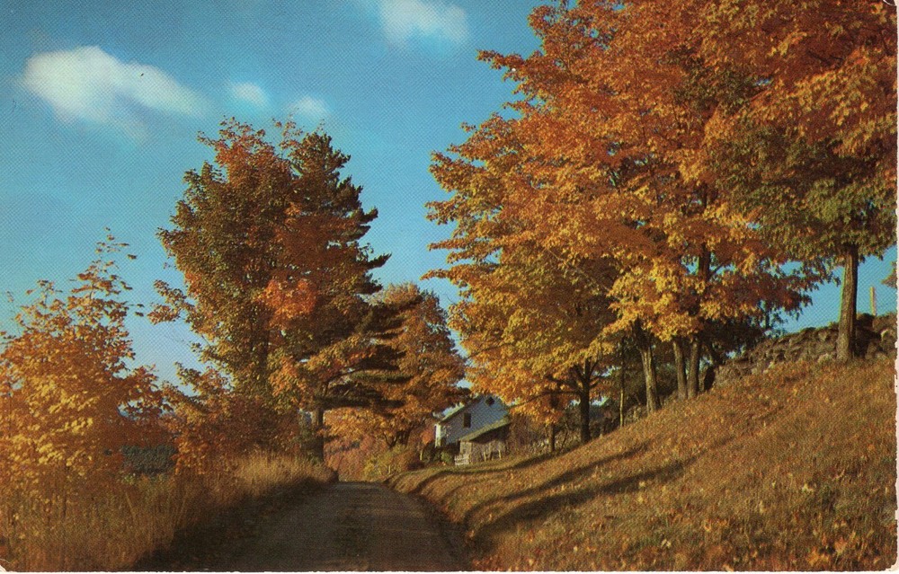 GREETINGS FROM HAMDEN, OH - PC4668