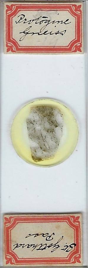 Protogine Gneiss from St. Gotthard Pass Petrographic Microscope Slide