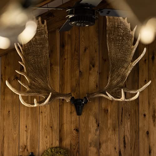 RH2 XL Antler Mounting Kit Single