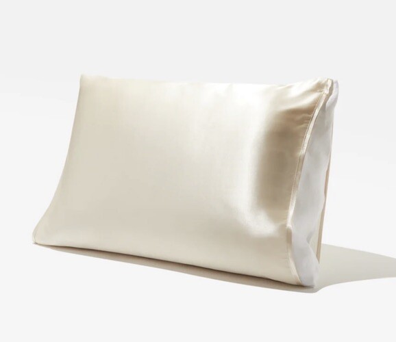 Silked Beige Singular Pillow Sleeve