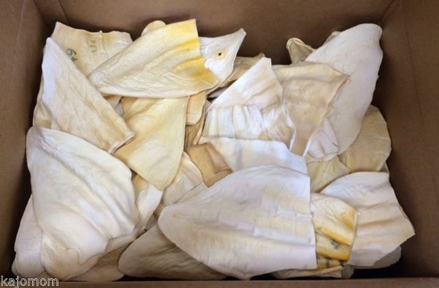 NATURAL Cow Ears for Dogs Healthy Bulk Treats & Natural Beef Chews Dental USA