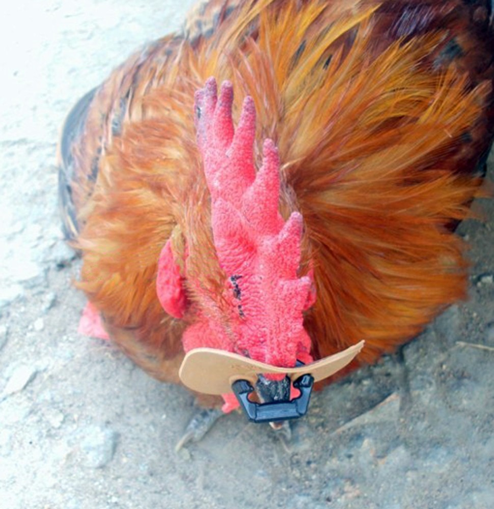 12pc Soft Pinless Chicken Peepers Pheasant Poultry Blinders Spectacles
