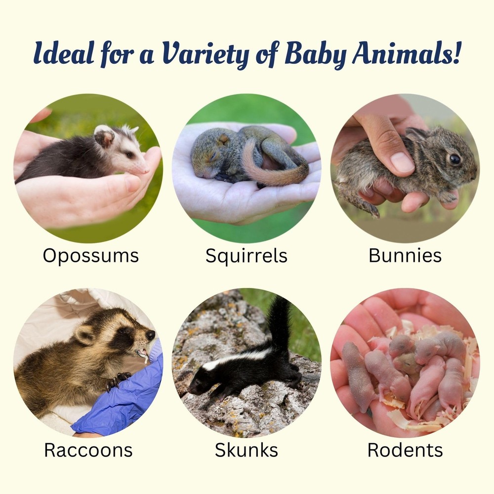Baby Squirrel Nursing Set (Basic) - Milk Replacer, Feeding Syringes