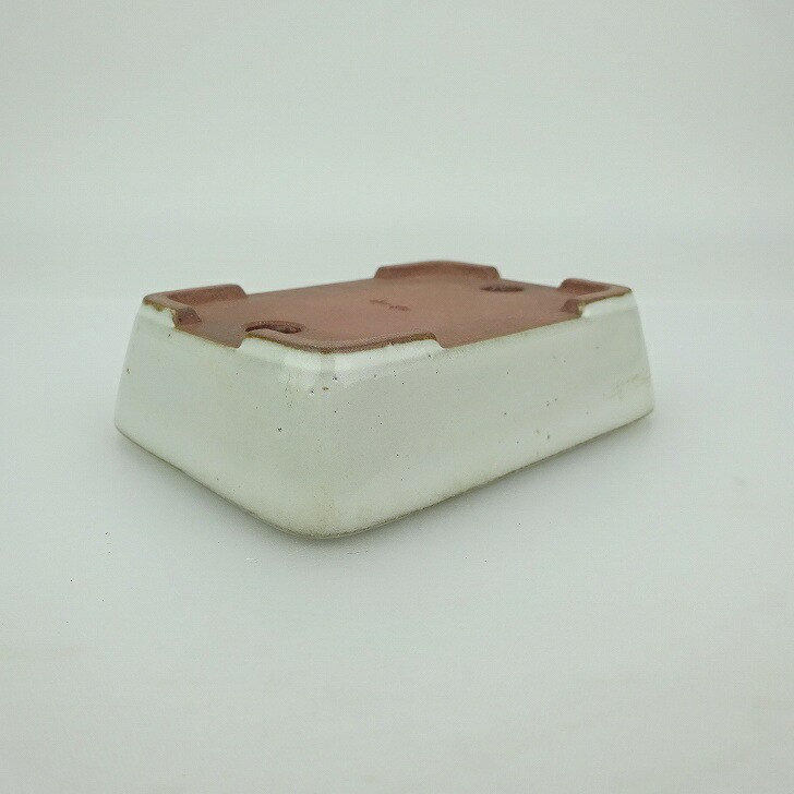Japanese Bonsai Pot Seika Glazed Rectangular Bonsai Pot-BP246