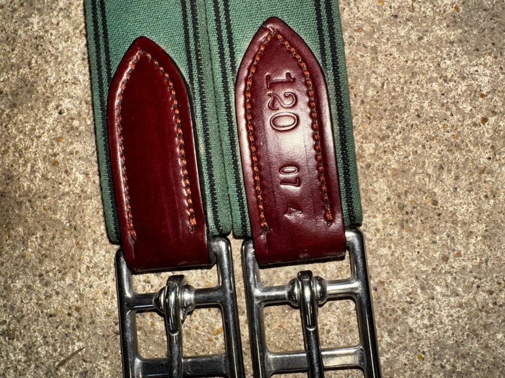 Amerigo Special Girth